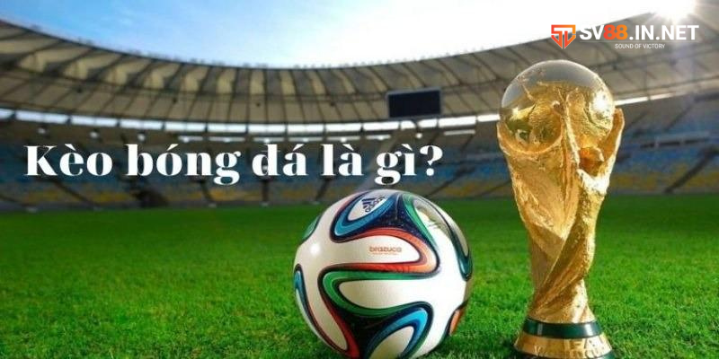Người nên nên hiểu rõ các loại kèo bóng đá trước khi cá cược